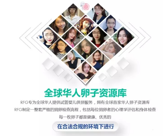 卵子库